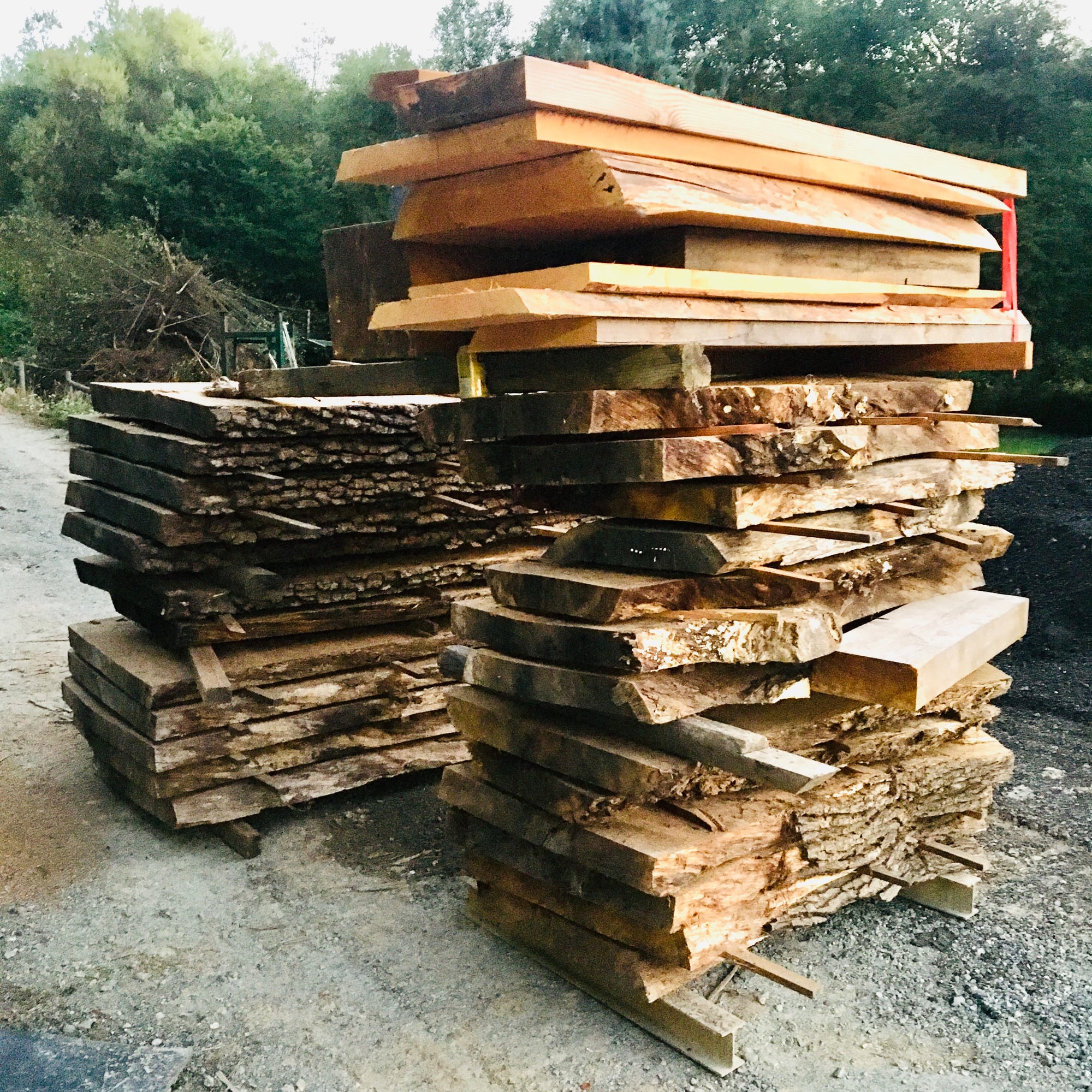 Forest to Foyer